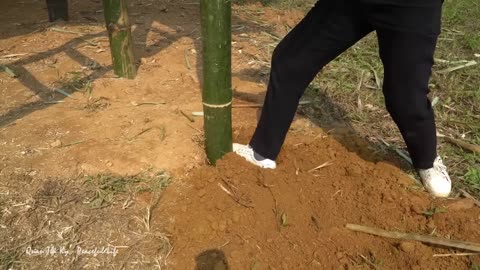 CEO Girl Quits City Life to Live in Forest: Top House Building Skills