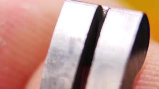 Internal parts of a bicycle freewheel