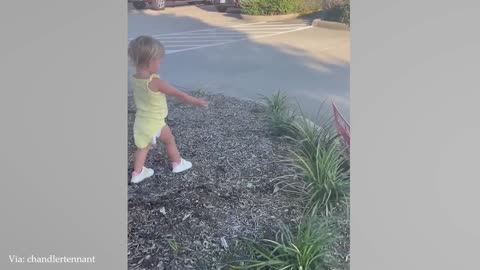 Cute Bird Falls In Love With This Baby At First Sight