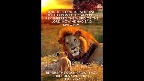 south park 1 and bit