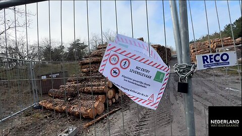 Schokkend! Bomenkap in Noordwijkerhout vrijdag 30 januari 2026