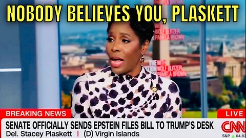 NOTHING TO SEE HERE! - Stacey Plaskett & the Democrats