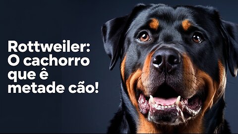 Rottweiler: O Cachorro que é Metade Cão, Metade Super-Herói (e 100% Fofura!)