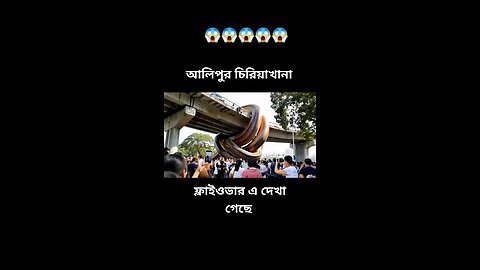 story