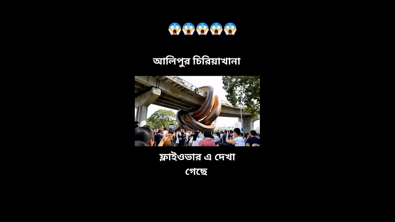 story
