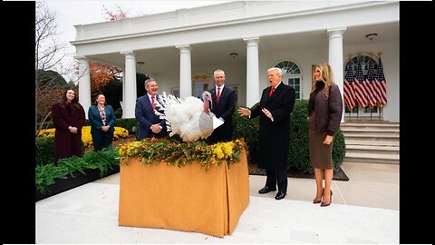 Rooster - Soul Cover.mp4