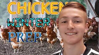 Preparing for the Winter for Your Chickens' Best Health