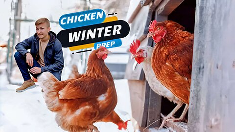Preparing for the Winter for Your Chickens' Best Health