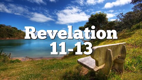 You Decide: The Antichrist Revelation 11-13