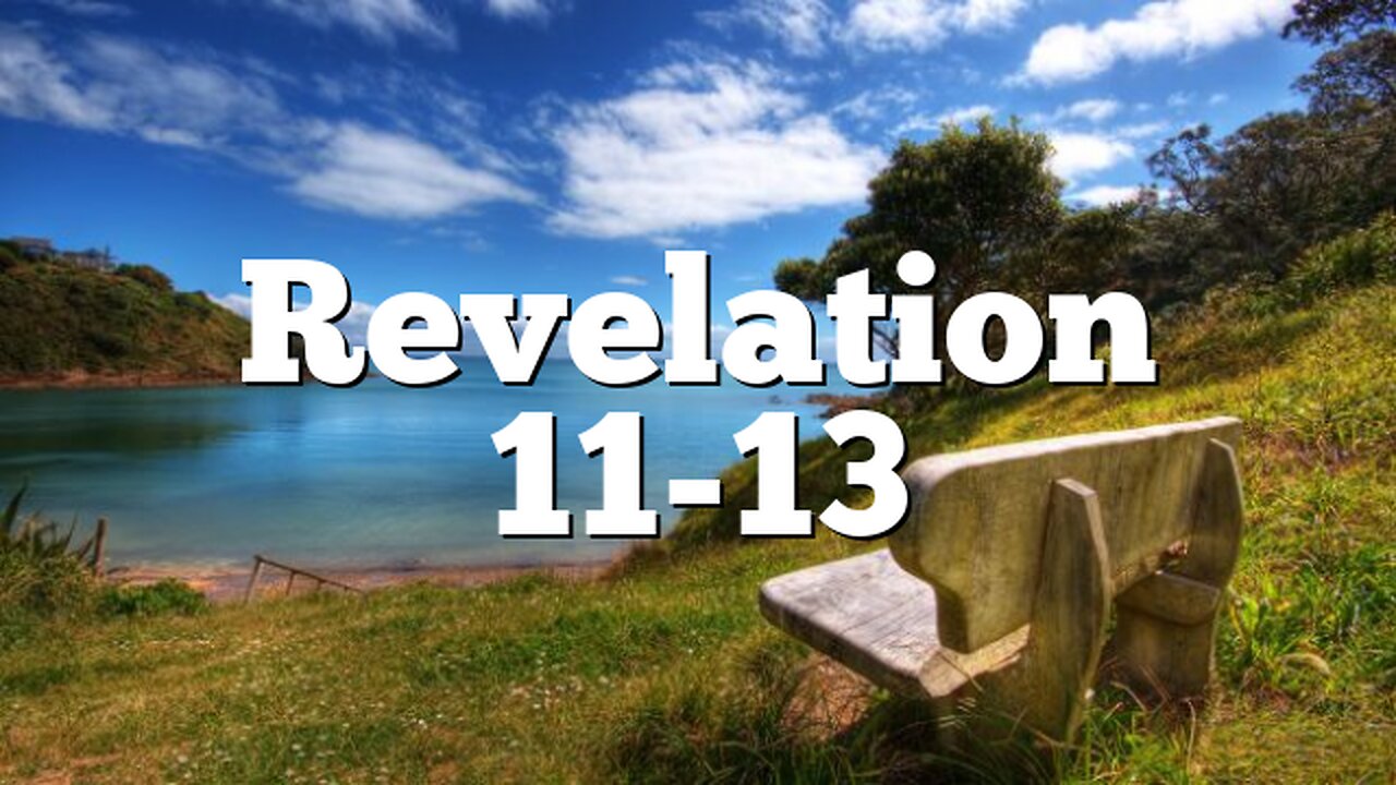 You Decide: The Antichrist Revelation 11-13