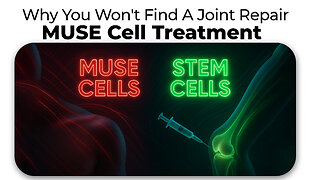Why You Won't Find A Joint Repair MUSE Cell Treatment at DBC