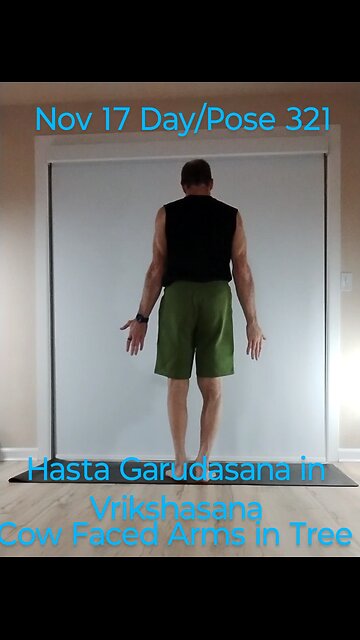 Hasta Garudasana in Vrikshasana / Cow Faced Arms in Tree Pose