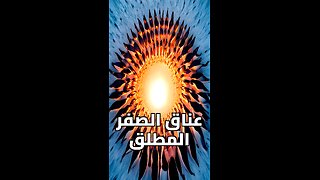 سر البطاريق: من -60°C إلى +37°C! كيف ينجون؟