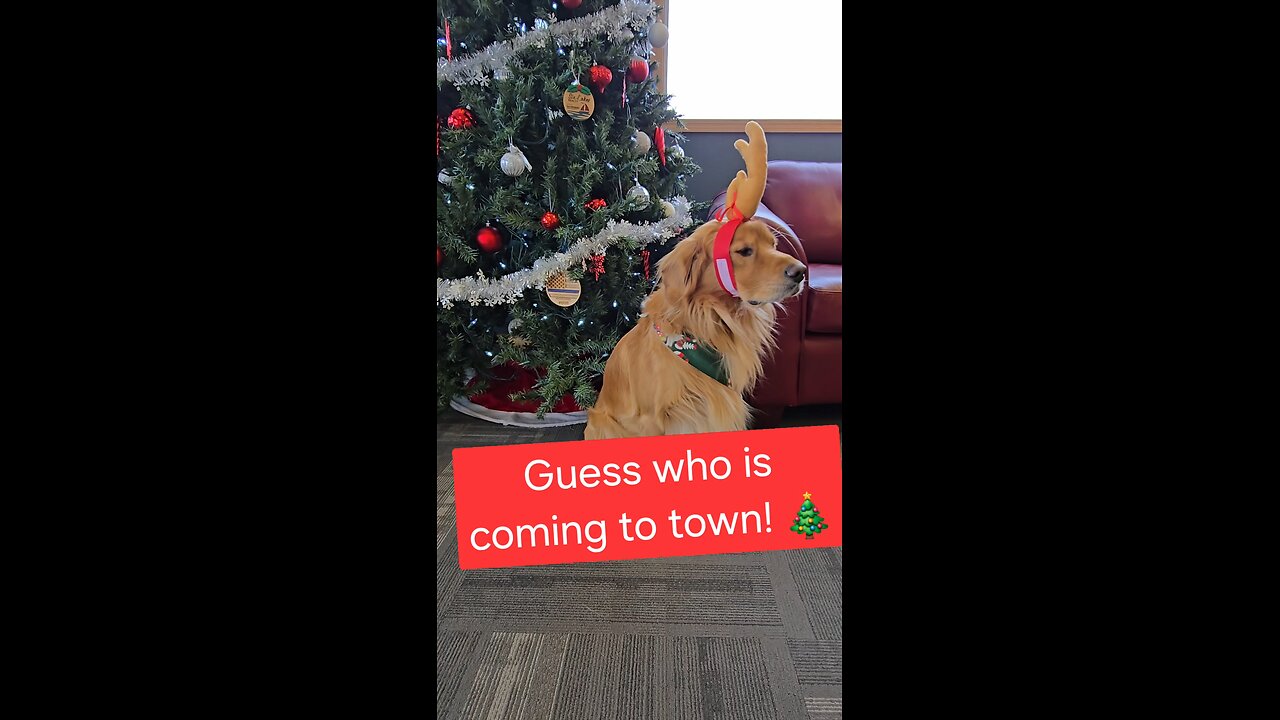 I can't believe he did this to me!