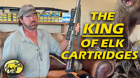 The .338 Win Mag vs. the rest: Elk rifle breakdown