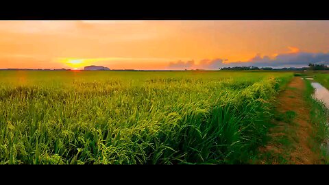 Top place visit in kedah Malaysia