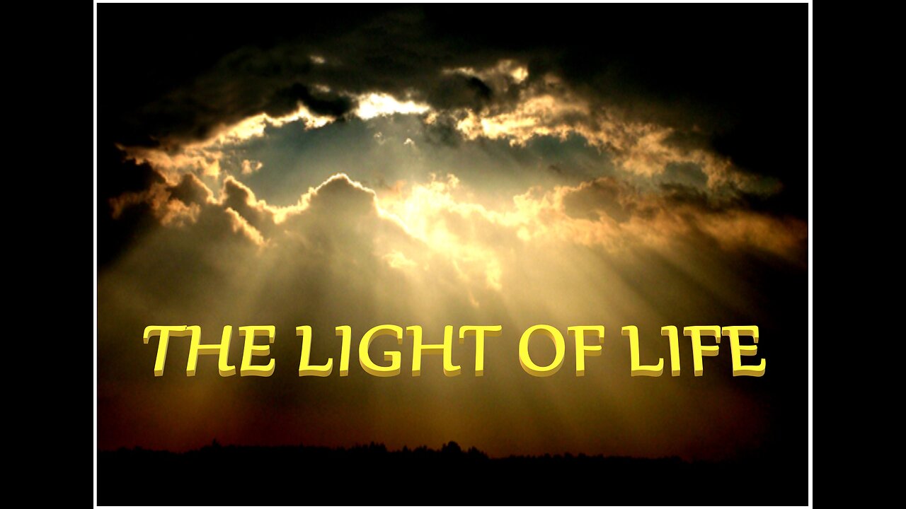 THE LIGHT OF LIFE #2 EB