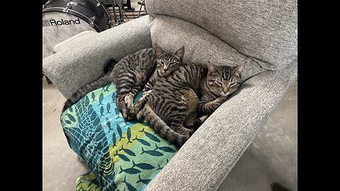 Episode 3082 - The Scott Adams School 01/28/26