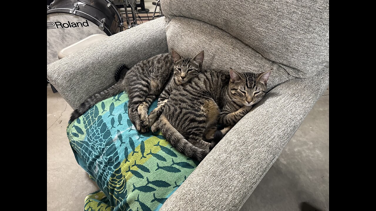 Episode 3082 - The Scott Adams School 01/28/26