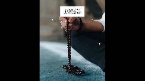 Follow if you love Allah / Surah Al Baqarah Ayat 111 #islam #viralvideos #quran #islamicreminders