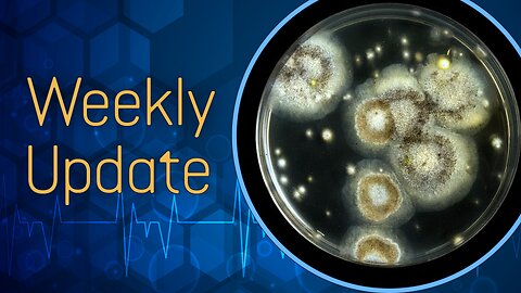 Kratom & Benzodiazepine PAWS, CFS, and Toxic Mold Detox Progress