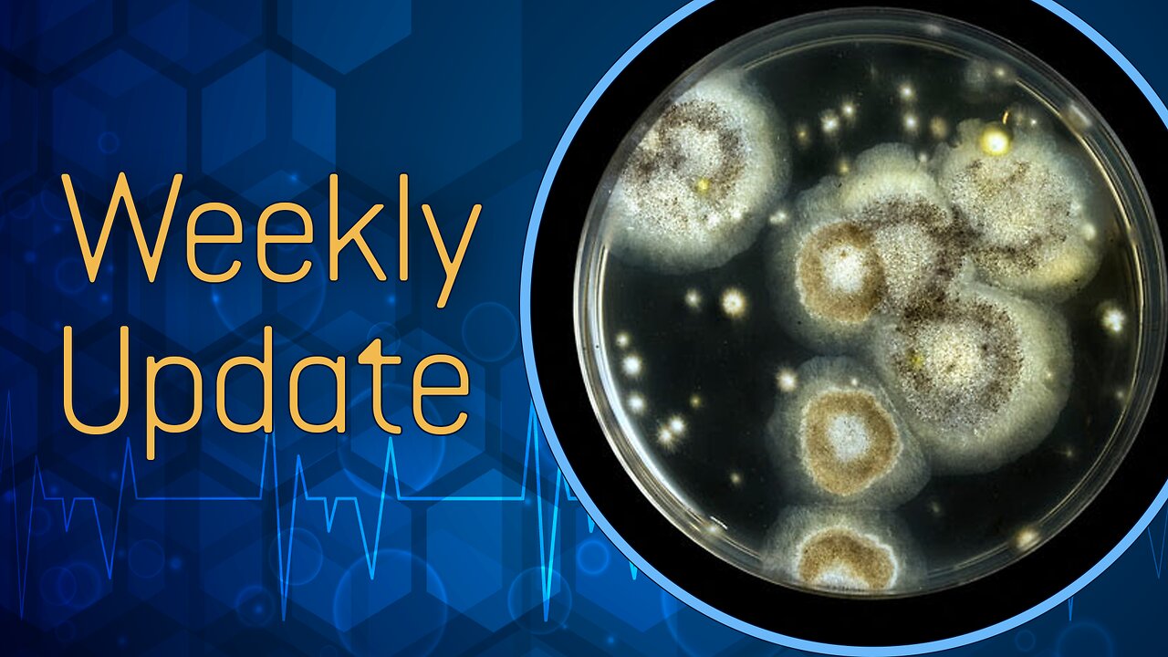 Kratom & Benzodiazepine PAWS, CFS, and Toxic Mold Detox Progress