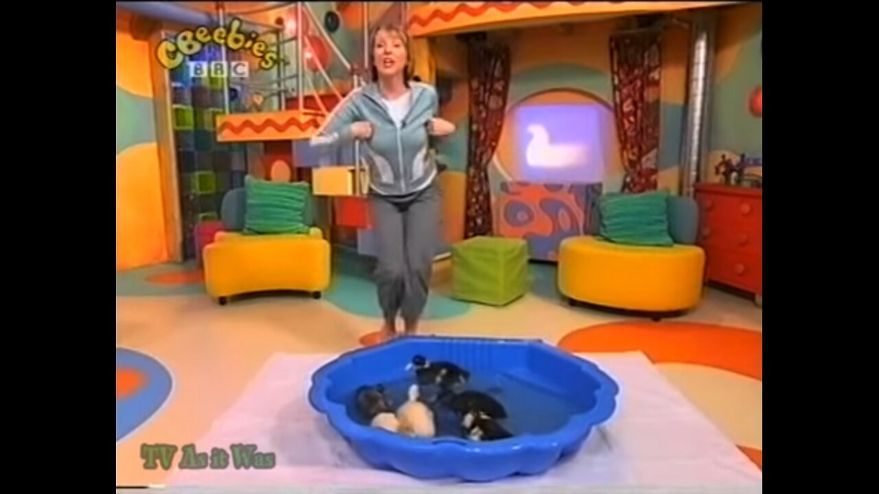 CBeebies 2002 - Sue And The Ducklings