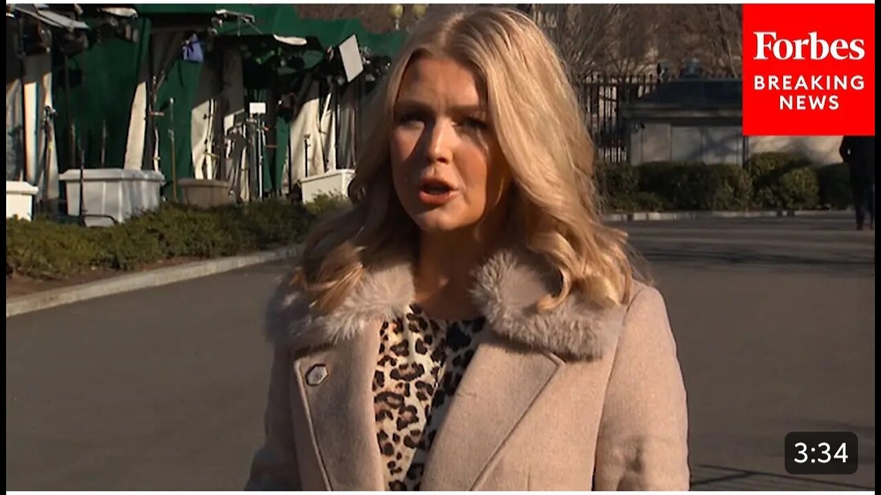 'Why Is The Media So Against Cutting Waste, Fraud, & Abuse?': Leavitt Has Tense Exchange With Journo