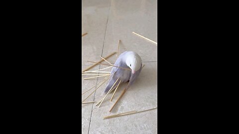 Making your own Happiness ☺️😊 be like ❤️❤️