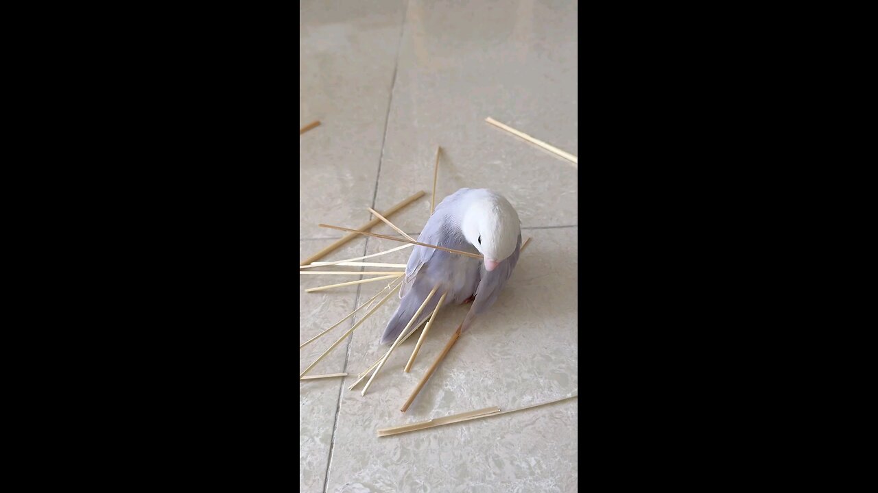 Making your own Happiness ☺️😊 be like ❤️❤️