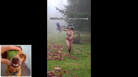 Funny videos compilation 70