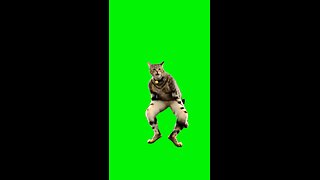 AI Cat Dancing | Green Screen #aidog #capcut #cat #meme #fyp