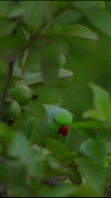 beauy of nature /natural beauty