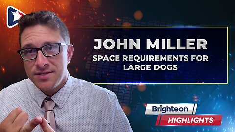 Space Requirements for Large Dogs