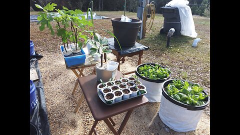 Getting The Garden Going 1/29/26