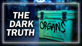 Democrats Aided And Abetted Mexican Drug Cartels In Kidnapping Women, Children For Organs