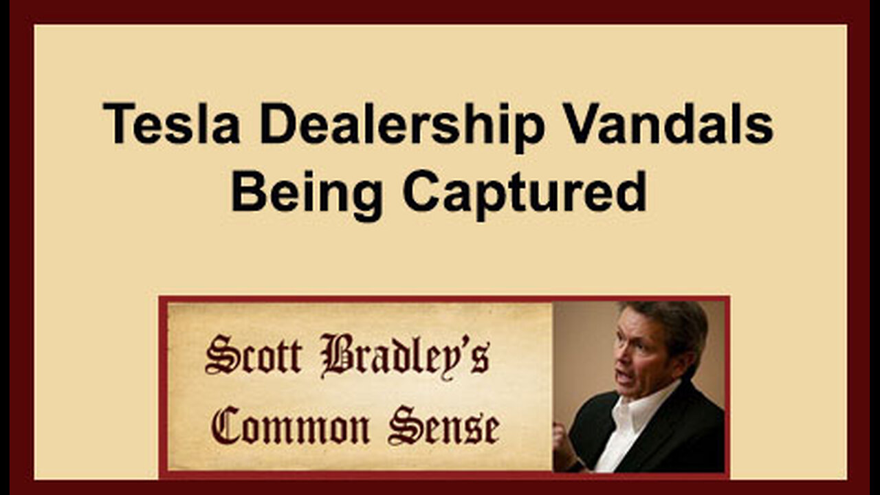 Tesla Dealership Vandals Being Captured