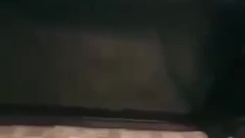 The "SHADEY" RED CROSS