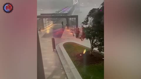 Unbelievable Nature Moments Ever Caught on Camera