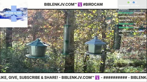 BIBLENKJV.COM™ 🛐 11/04/2025 #LIVE #BIRDCAM #WEATHER