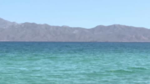 Elixir Shot of Coconut oil, Lime or Lemon, Ginger, Tumeric, Pepper, Garlic, Honey, and Sea Salt