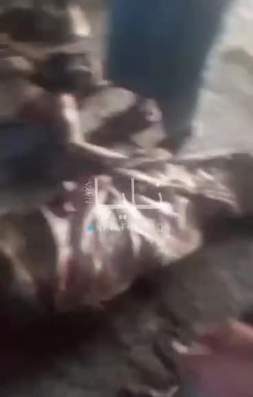 Ukraine war ombat footage 10/16/25