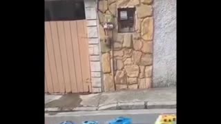 😂🤯 Peak Autism Moment Leaves Everyone Speechless! | FunFM