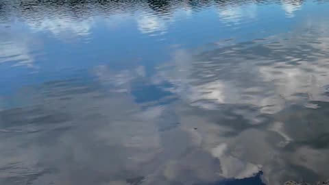 Fished This Clear Water Pond In Iowa