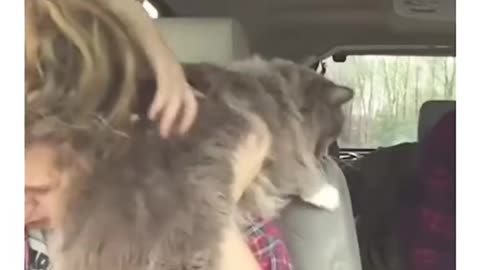 Under Anesthesia
