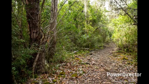 Manukā Nature Trail