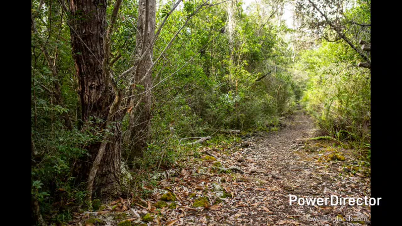 Manukā Nature Trail