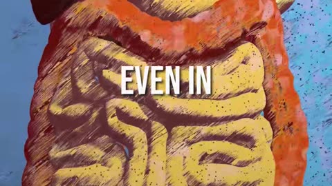 The Hidden Toxins in Your Home and Car