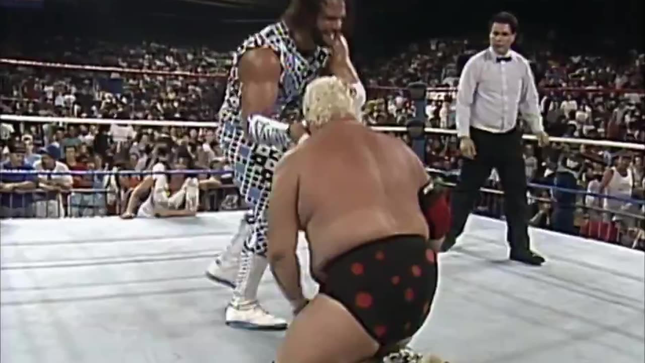 (1990.10.13) Dusty Rhodes vs Randy Savage - WWF