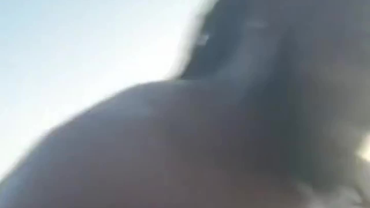 Well Well Well